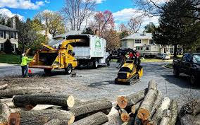 Best Hedge Trimming  in Evanston, IL